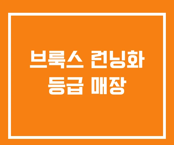 브룩스 런닝화 등급 매장