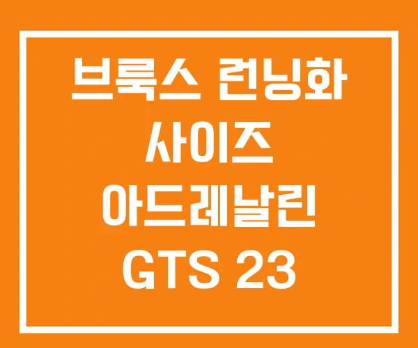 브룩스 런닝화 사이즈 아드레날린 GTS 23