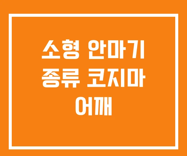 소형 안마기 종류 코지마 어깨