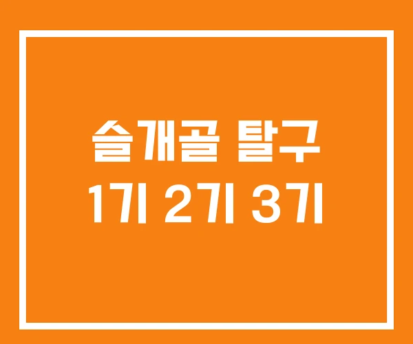 슬개골 탈구 1기 2기 3기