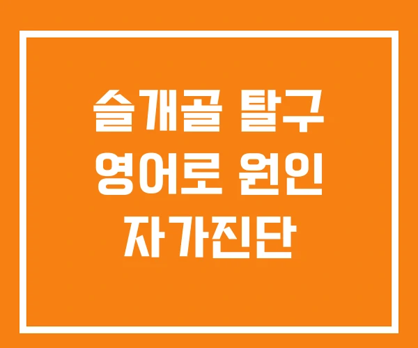 슬개골 탈구 영어로 원인 자가진단 슬개골 탈구 영어로 원인 자가진단