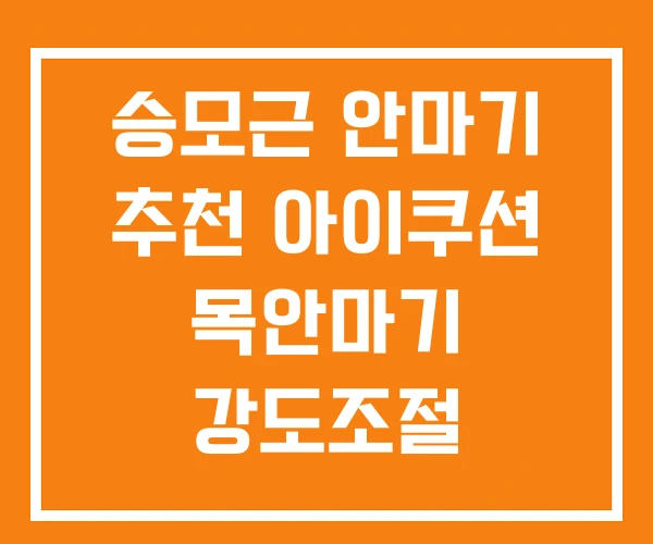 승모근 안마기 추천 아이쿠션 목안마기 강도조절 승모근 안마기 추천 아이쿠션 목안마기 강도조절