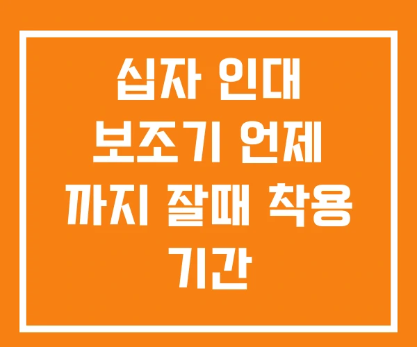 십자 인대 보조기 언제 까지 잘때 착용 기간