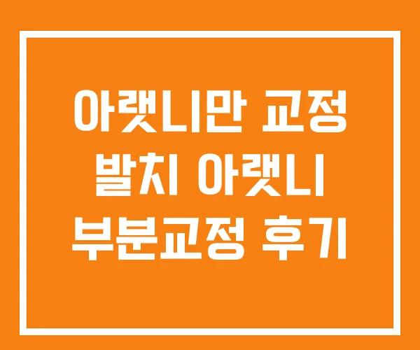 아랫니만 교정 발치 아랫니 부분교정 후기 아랫니만 교정 발치 아랫니 부분교정 후기