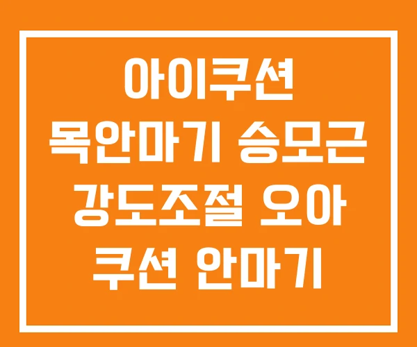 아이쿠션 목안마기 승모근 강도조절 오아 쿠션 안마기