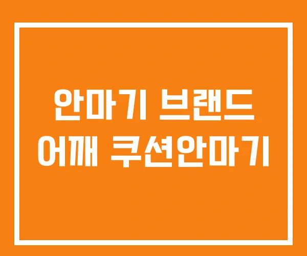 안마기 브랜드 어깨 쿠션안마기