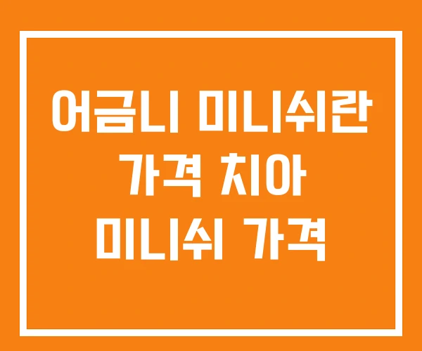 어금니 미니쉬란 가격 치아 미니쉬 가격