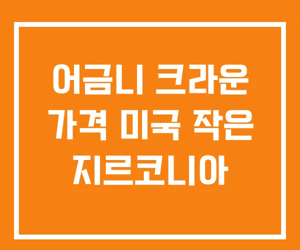 어금니 크라운 가격 미국 작은 지르코니아