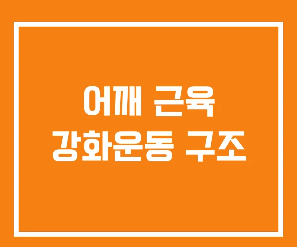 어깨 근육 강화운동 구조 어깨 근육 강화운동 구조