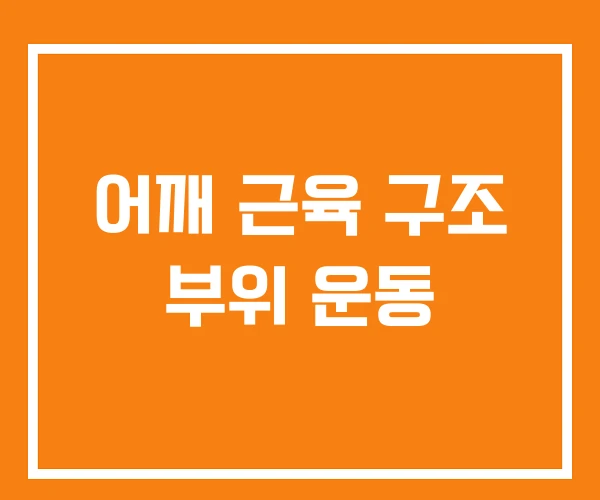 어깨 근육 구조 부위 운동 어깨 근육 구조 부위 운동