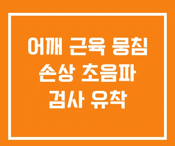 어깨 근육 뭉침 손상 초음파 검사 유착