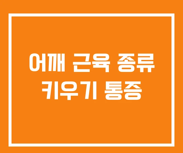 어깨 근육 종류 키우기 통증
