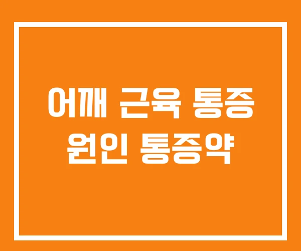 어깨 근육 통증 원인 통증약