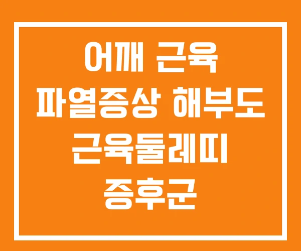 어깨 근육 파열증상 해부도 근육둘레띠 증후군