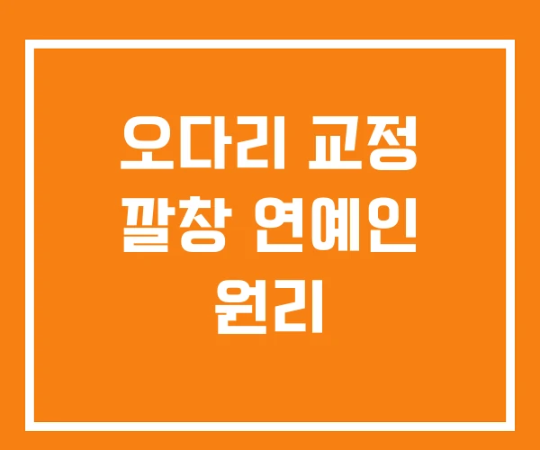 오다리 교정 깔창 연예인 원리 오다리 교정 깔창 연예인 원리