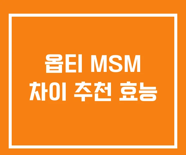 옵티 MSM 차이 추천 효능