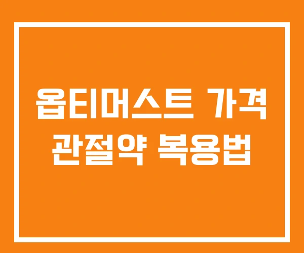 옵티머스트 가격 관절약 복용법