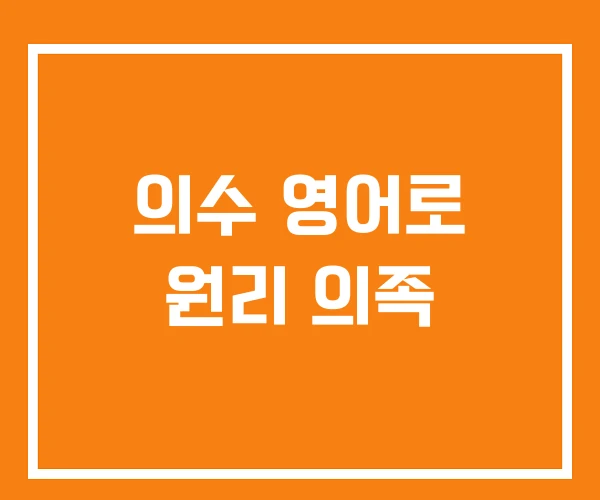 의수 영어로 원리 의족