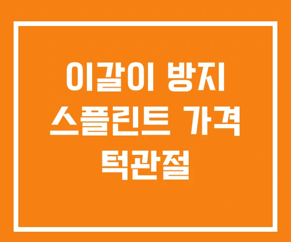 이갈이 방지 스플린트 가격 턱관절