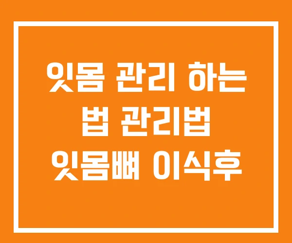 잇몸 관리 하는 법 관리법 잇몸뼈 이식후