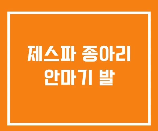 제스파 종아리 안마기 발