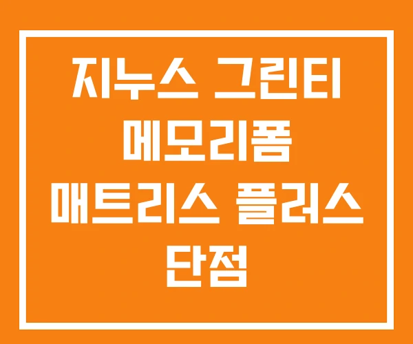 지누스 그린티 메모리폼 매트리스 플러스 단점