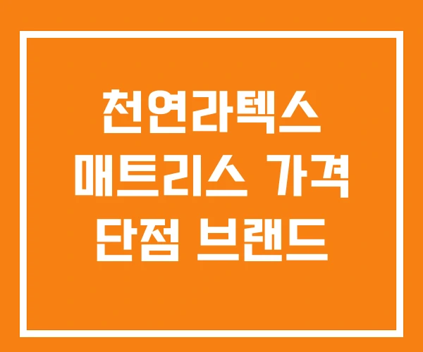 천연라텍스 매트리스 가격 단점 브랜드 천연라텍스 매트리스 가격 단점 브랜드