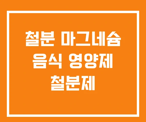 철분 마그네슘 음식 영양제 철분제