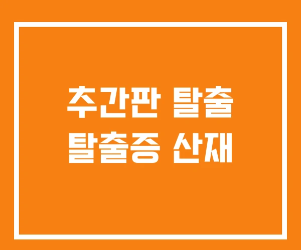 추간판 탈출 탈출증 산재 추간판 탈출 탈출증 산재