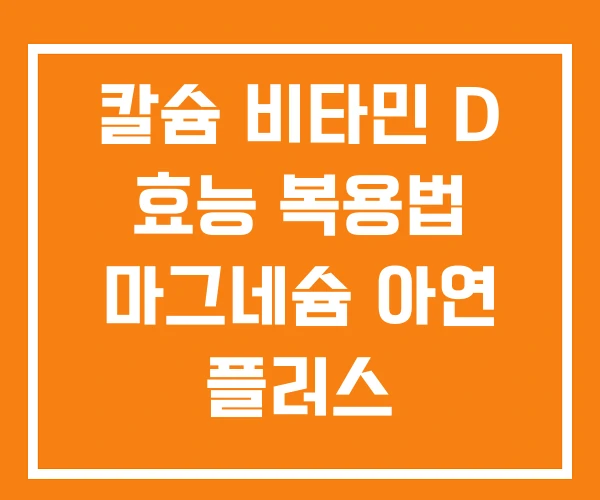 칼슘 비타민 D 효능 복용법 마그네슘 아연 플러스