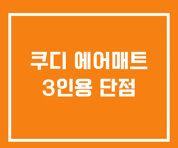 쿠디 에어매트 3인용 단점