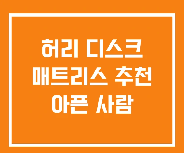 허리 디스크 매트리스 추천 아픈 사람