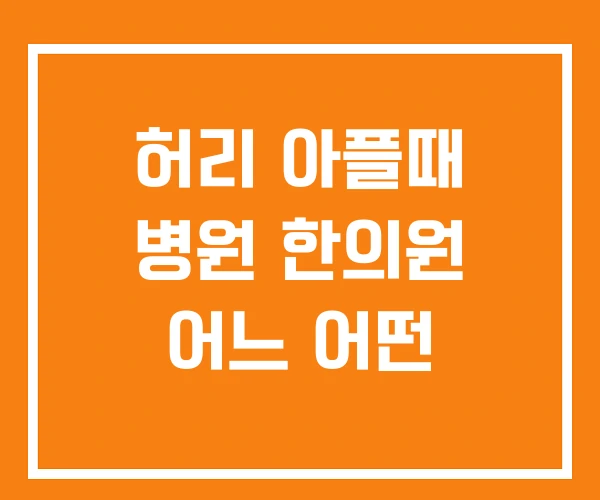 허리 아플때 병원 한의원 어느 어떤 허리 아플때 병원 한의원 어느 어떤