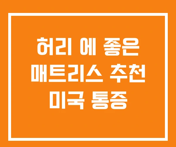 허리 에 좋은 매트리스 추천 미국 통증