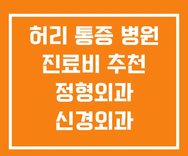 허리 통증 병원 진료비 추천 정형외과 신경외과 허리 통증 병원 진료비 추천 정형외과 신경외과