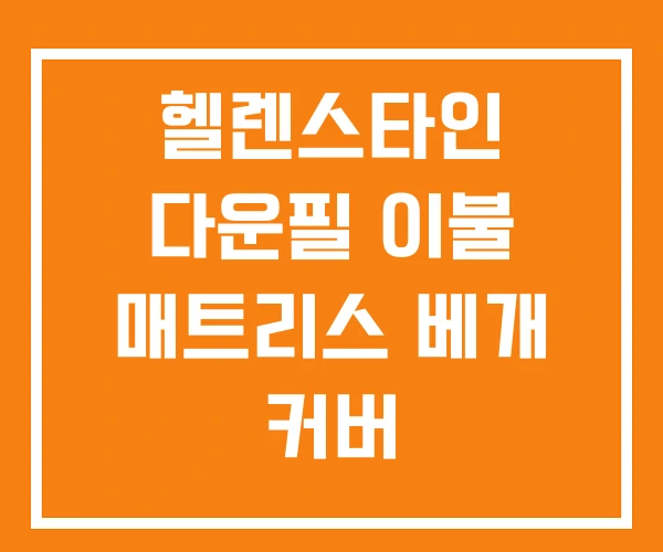 헬렌스타인 다운필 이불 매트리스 베개 커버