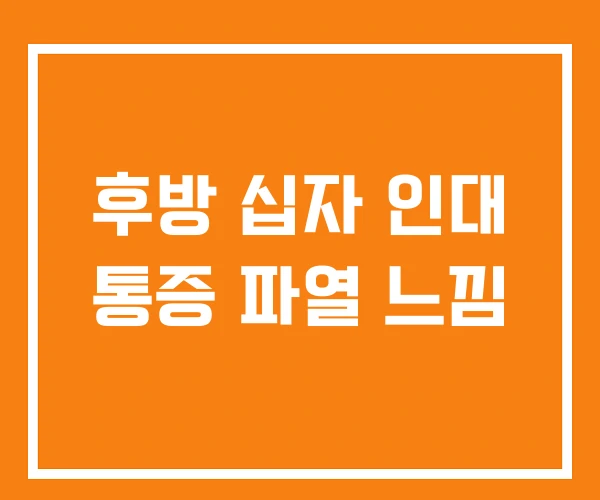 후방 십자 인대 통증 파열 느낌 후방 십자 인대 통증 파열 느낌
