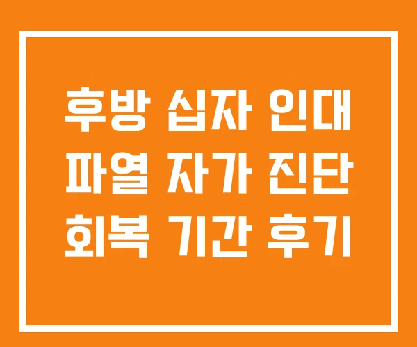 후방 십자 인대 파열 자가 진단 회복 기간 후기