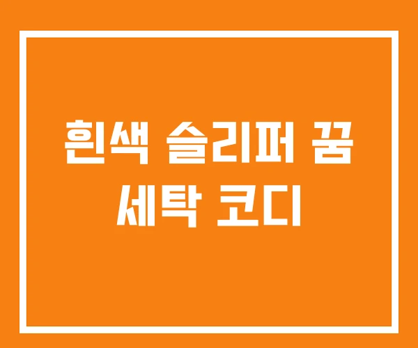 흰색 슬리퍼 꿈 세탁 코디