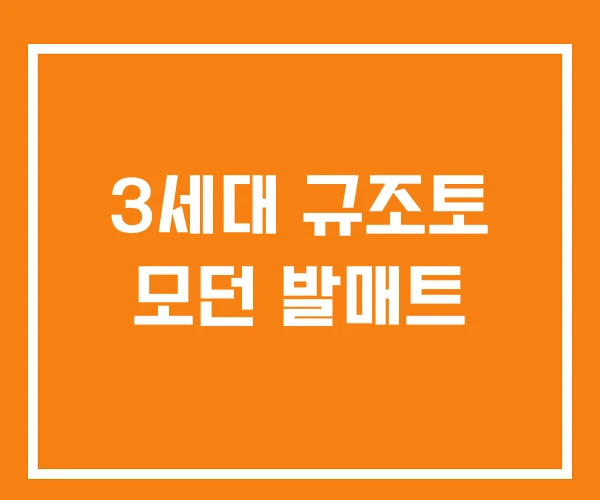 3세대 규조토 모던 발매트