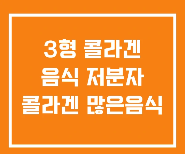 3형 콜라겐 음식 저분자 콜라겐 많은음식