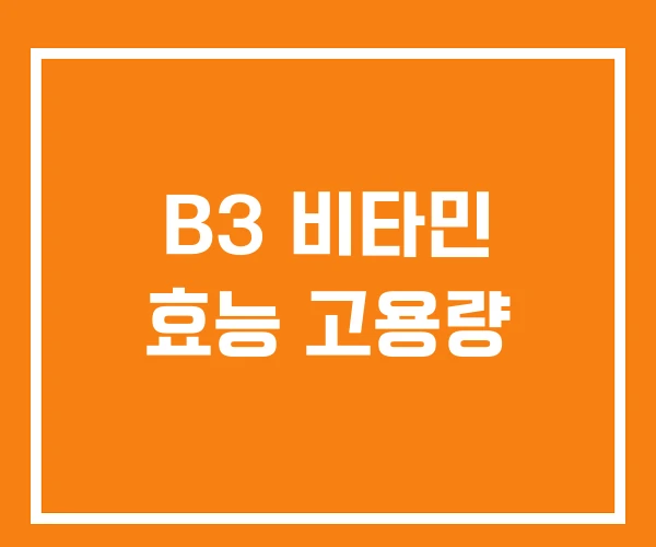 B3 비타민 효능 고용량