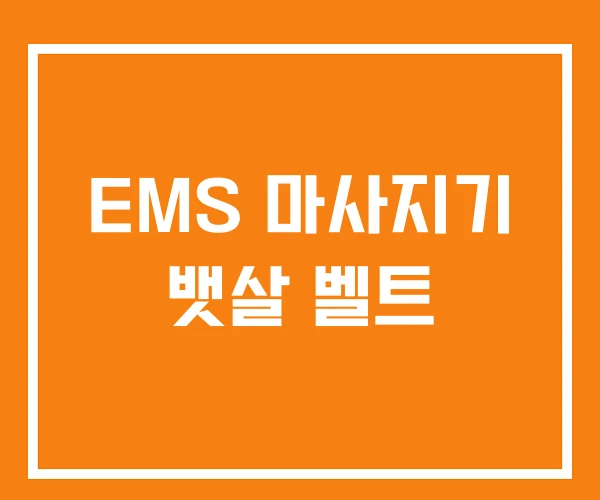 EMS 마사지기 뱃살 벨트