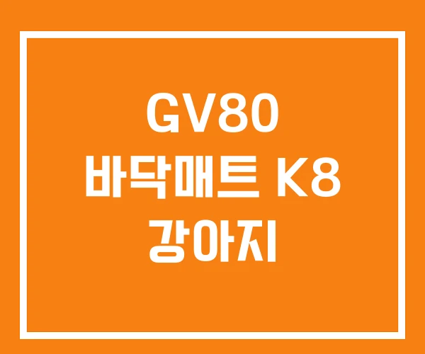 GV80 바닥매트 K8 강아지