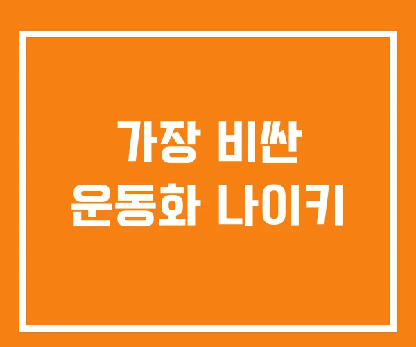가장 비싼 운동화 나이키