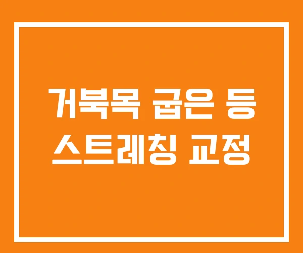 거북목 굽은 등 스트레칭 교정