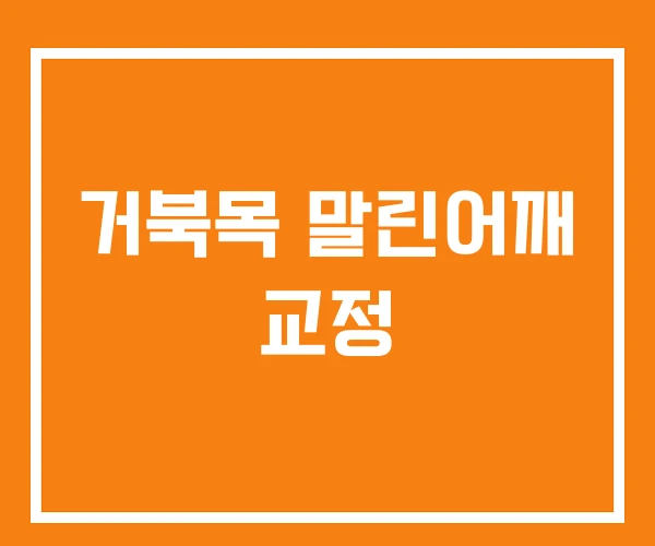 거북목 말린어깨 교정 거북목 말린어깨 교정