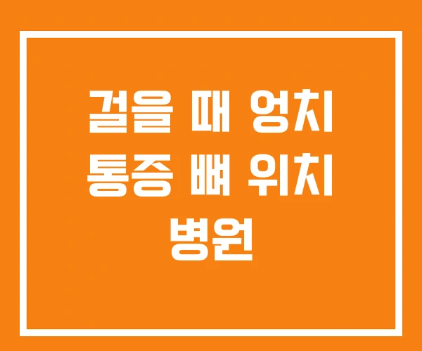 걸을 때 엉치 통증 뼈 위치 병원