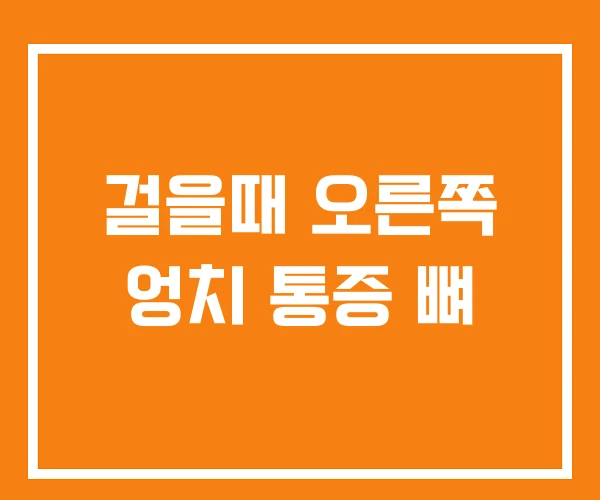 걸을때 오른쪽 엉치 통증 뼈
