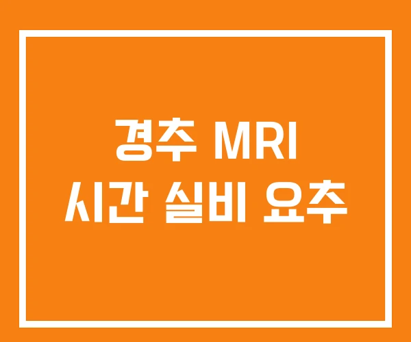 경추 MRI 시간 실비 요추 경추 MRI 시간 실비 요추
